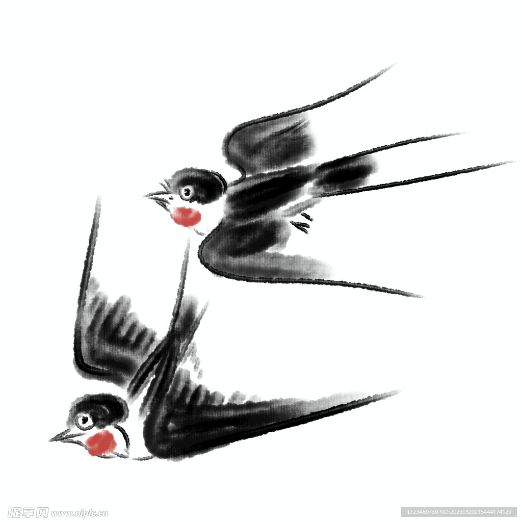 燕子