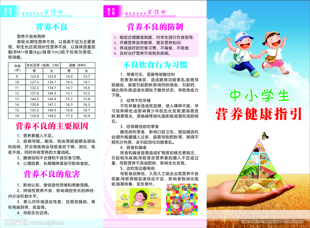 营养健康宣传