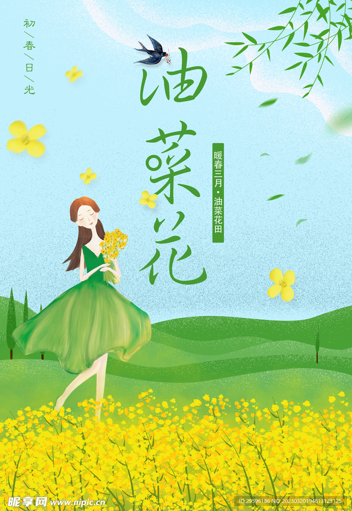 观赏油菜花