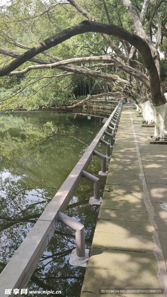 河岸边