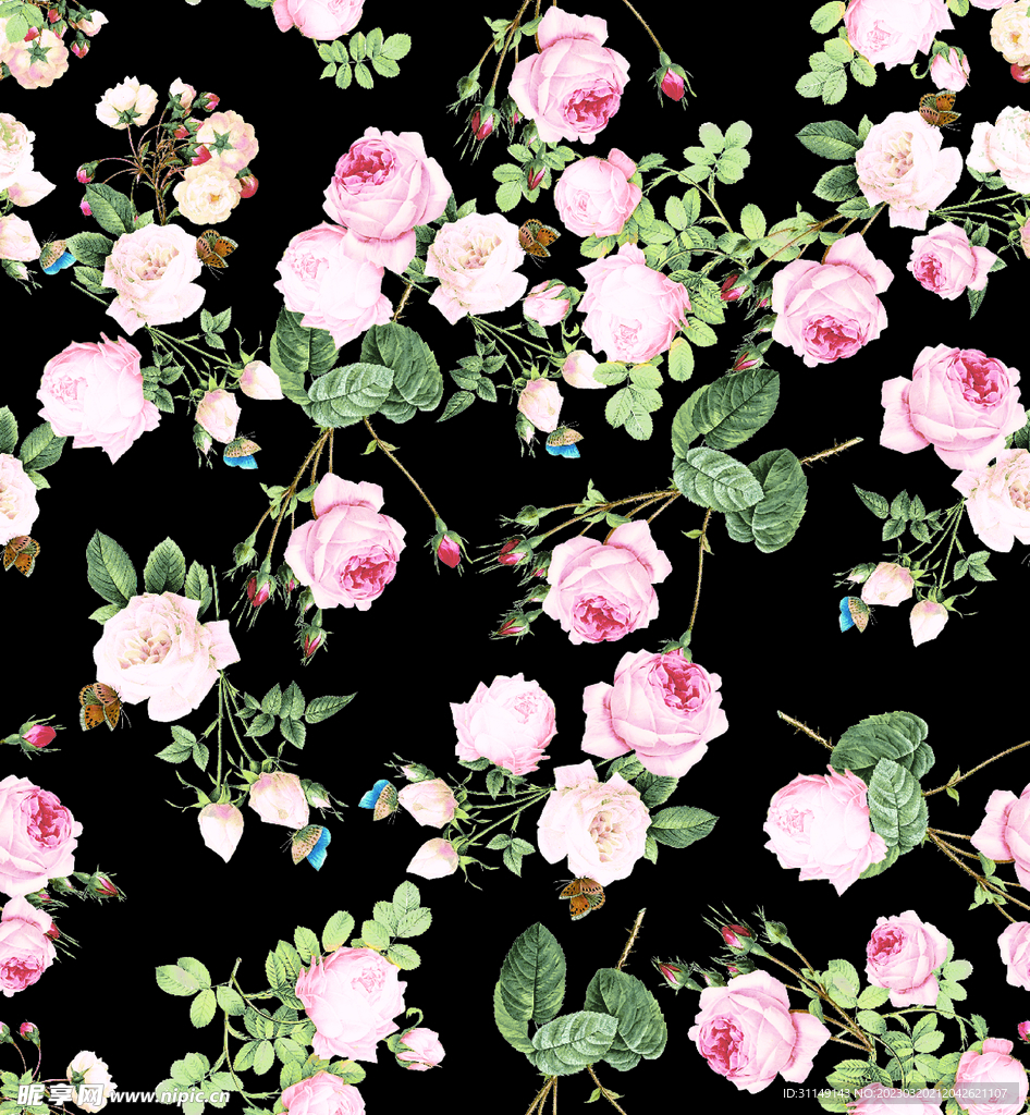 玫瑰花