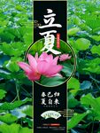 立夏节气宣传海报