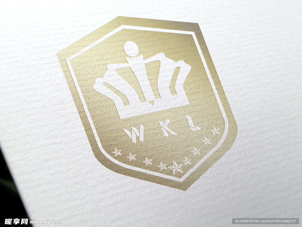 logo 设计 效果图 ps 