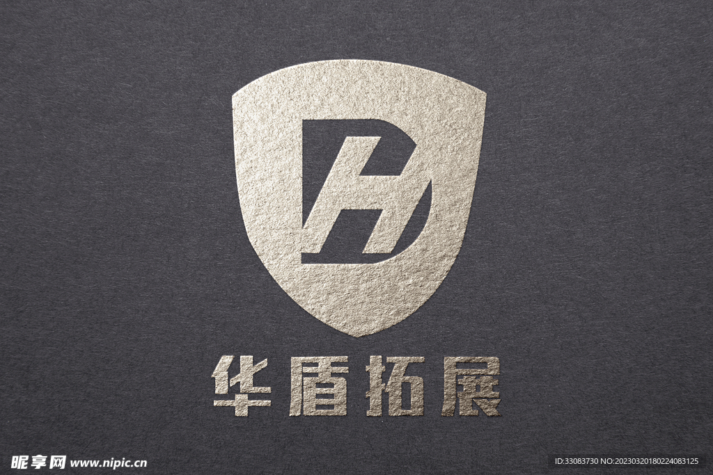 logo 设计 效果图 ps 