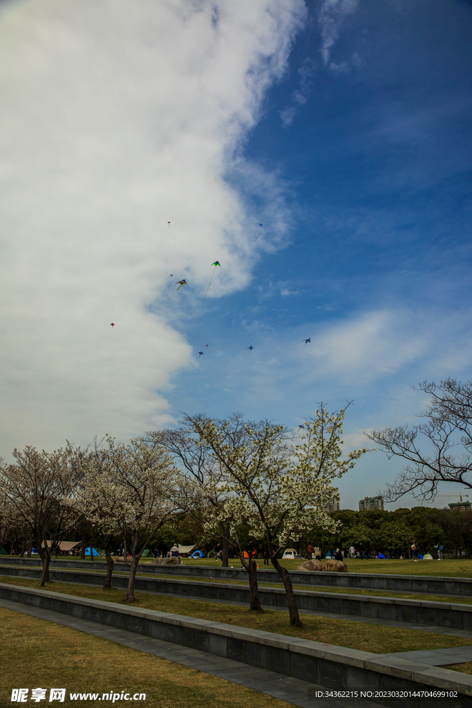 蠡湖公园 风筝