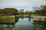 蠡湖公园   春天 城市