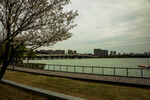 蠡湖公园    春天 蠡湖大桥
