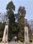 中山陵最美600米