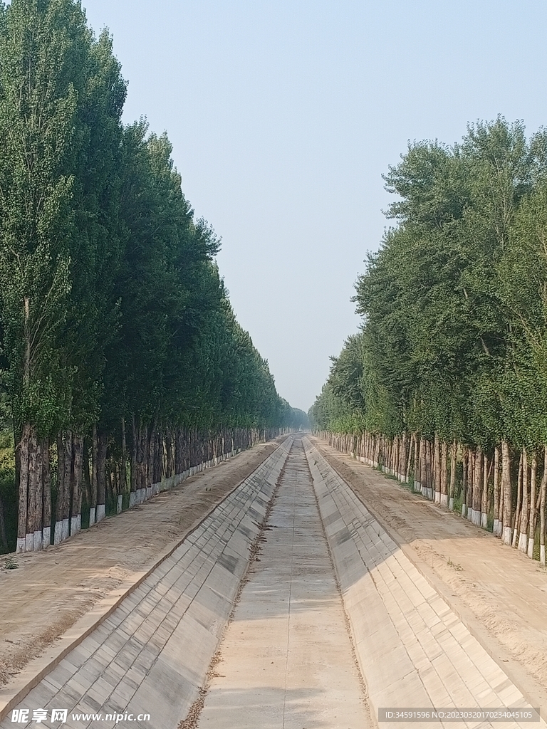 树 渠道