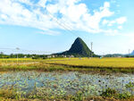 田园风景