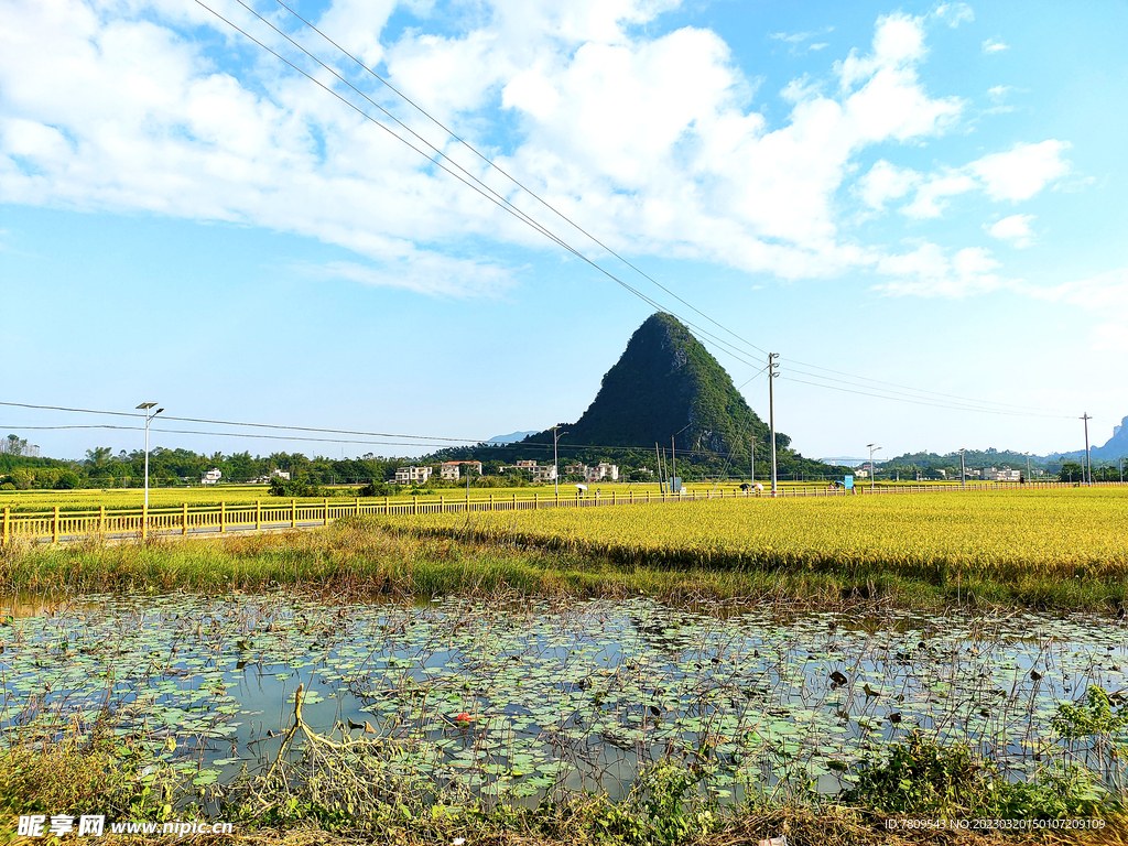 田园风景