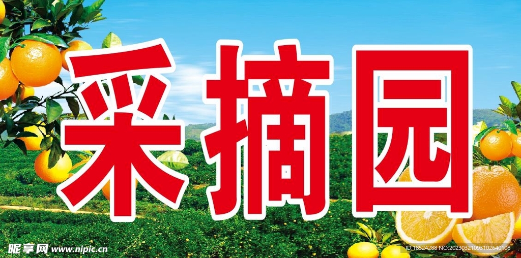 采摘园