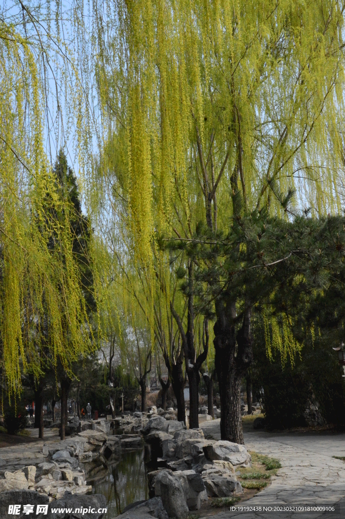 大观园风景  