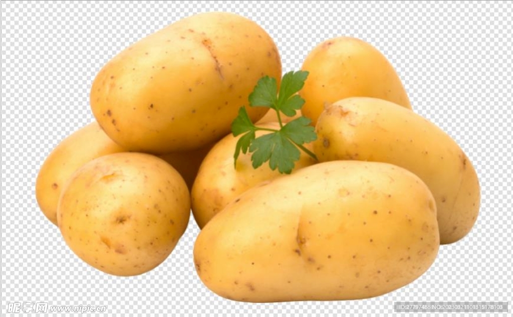 土豆