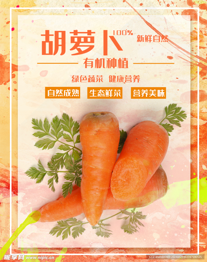 胡萝卜