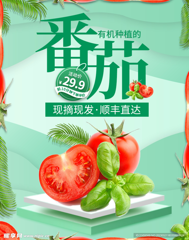 番茄