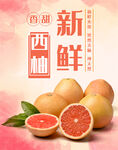 西柚