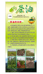 山茶油