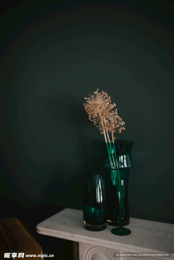 盆栽
