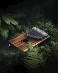 树林