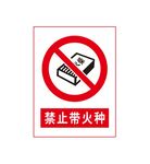 禁止带火种