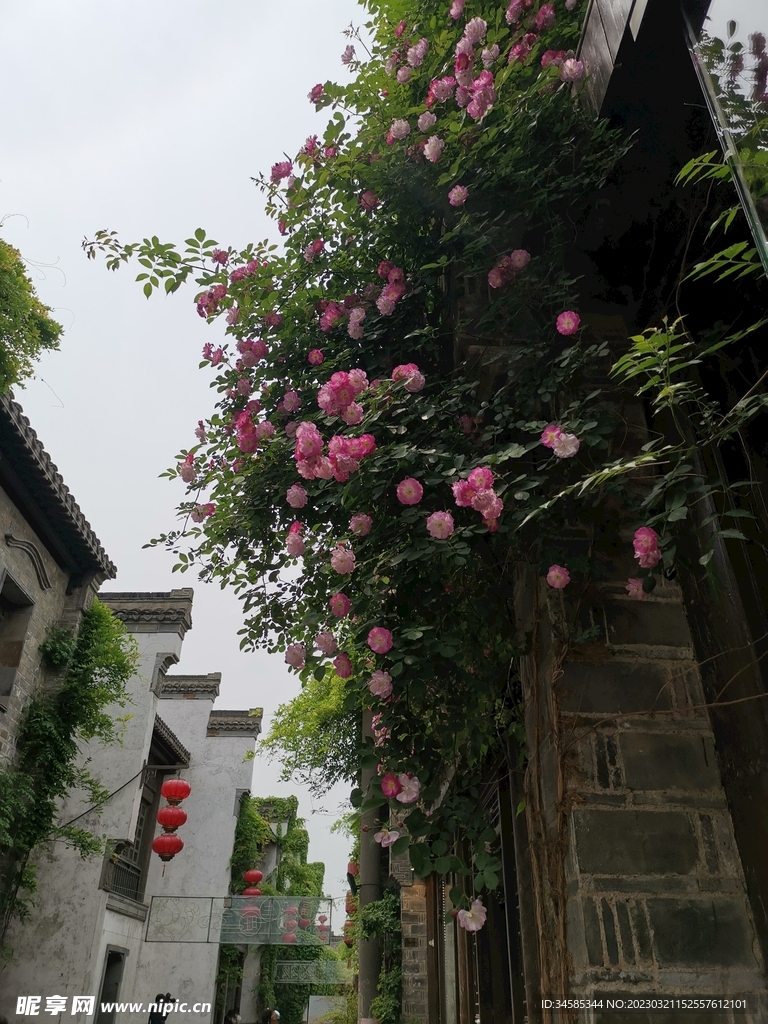 老门东 