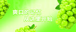 水果灯箱