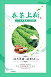 春茶海报
