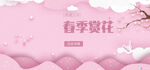 春节赏花