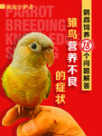 萌宠封面
