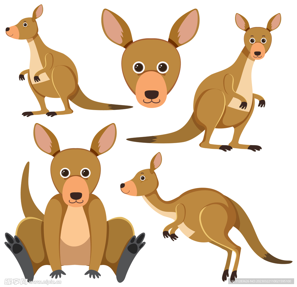 Cartoon cute little kangaroo jumping on white background 7152925 Vector ...
