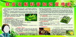 铁皮石斛宣传栏
