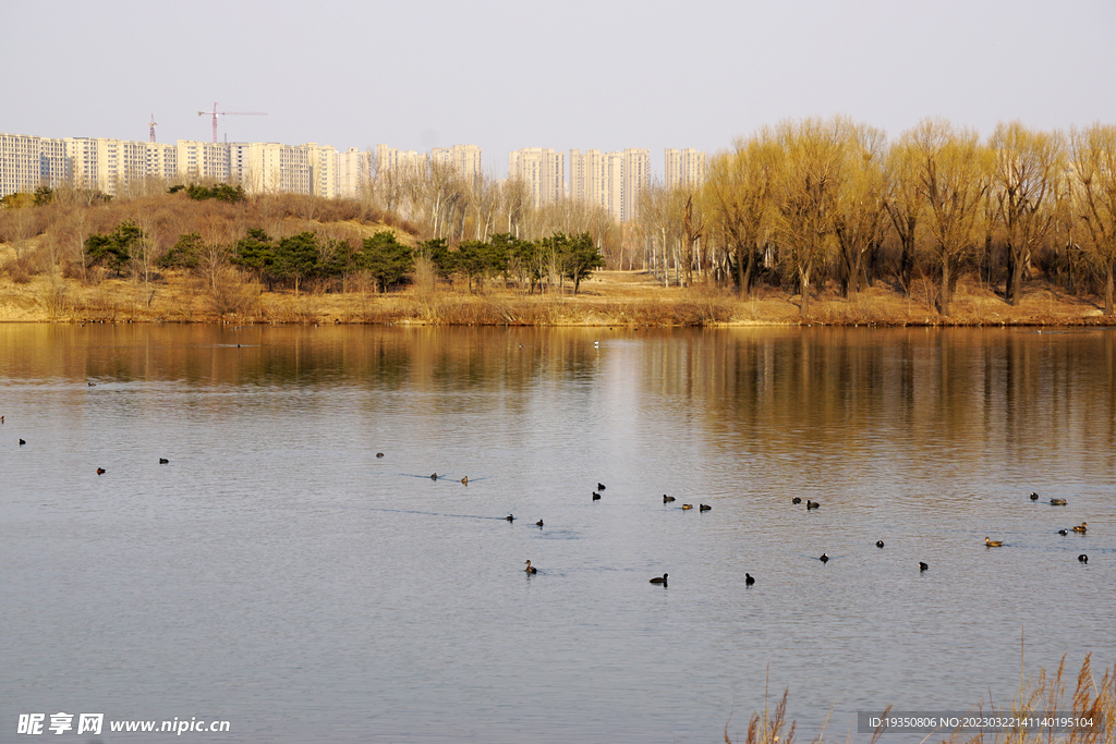 沈阳丁香湖春天景色