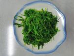 海草