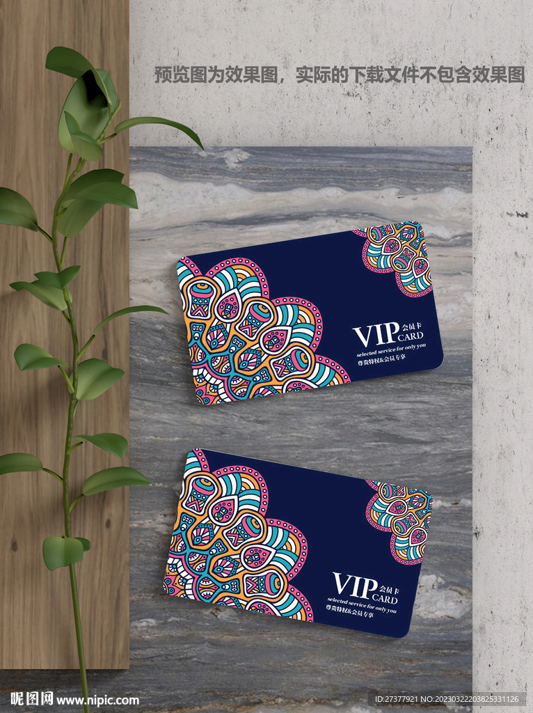 艺术vip