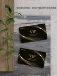 尊贵vip