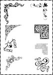 花纹