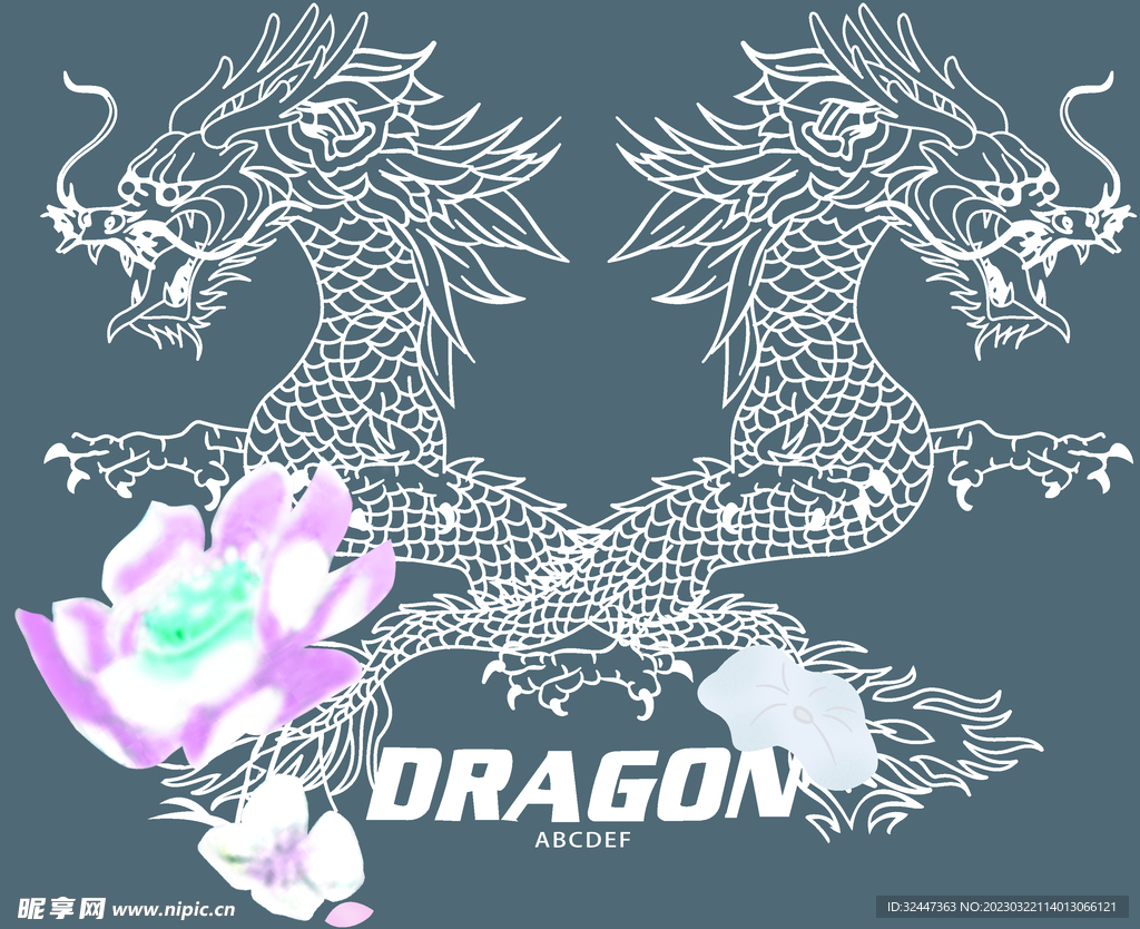 龙