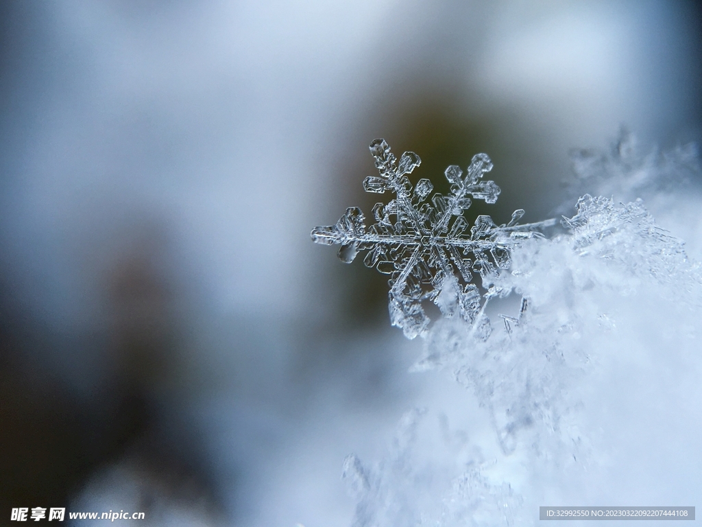 雪