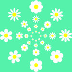 春天 小清新菊花小花