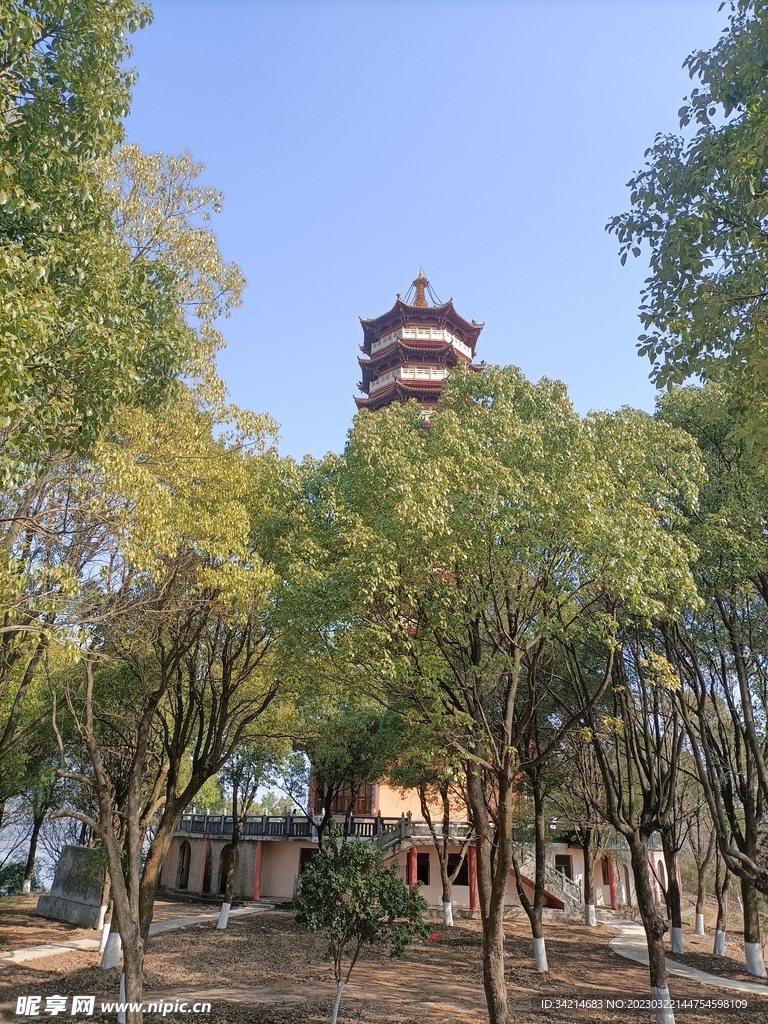 塔