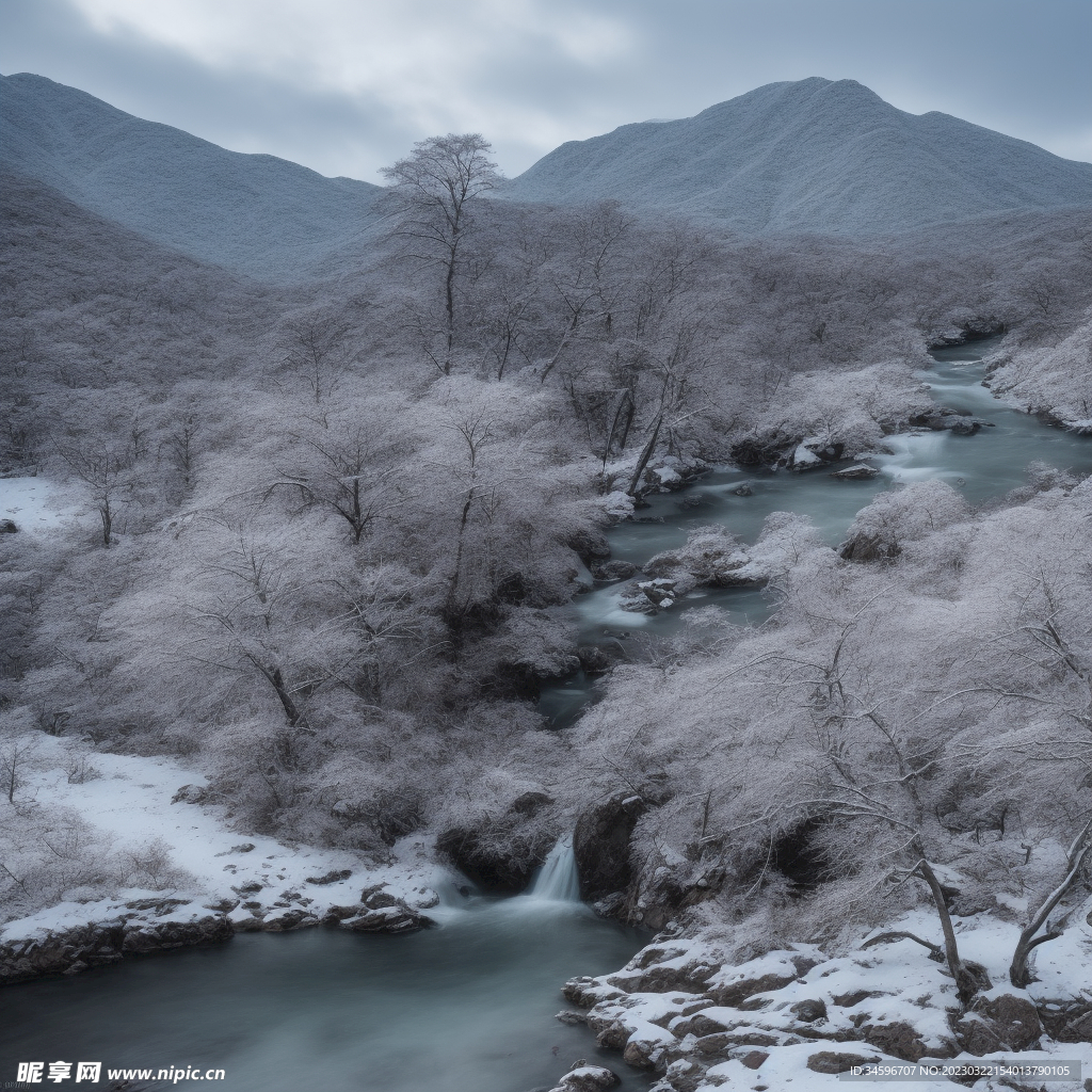 冬日雪景