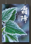 二十四节气霜降