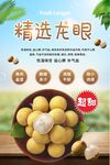 龙眼海报
