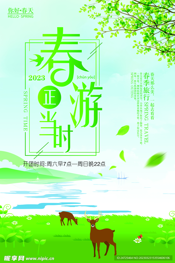 春游正当时