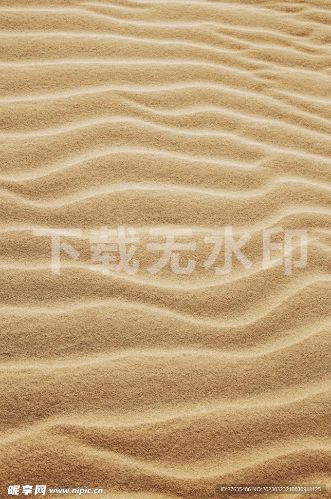 沙漠