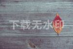 木纹花纹