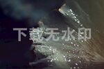 荷叶露水