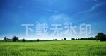蓝天草地摄影