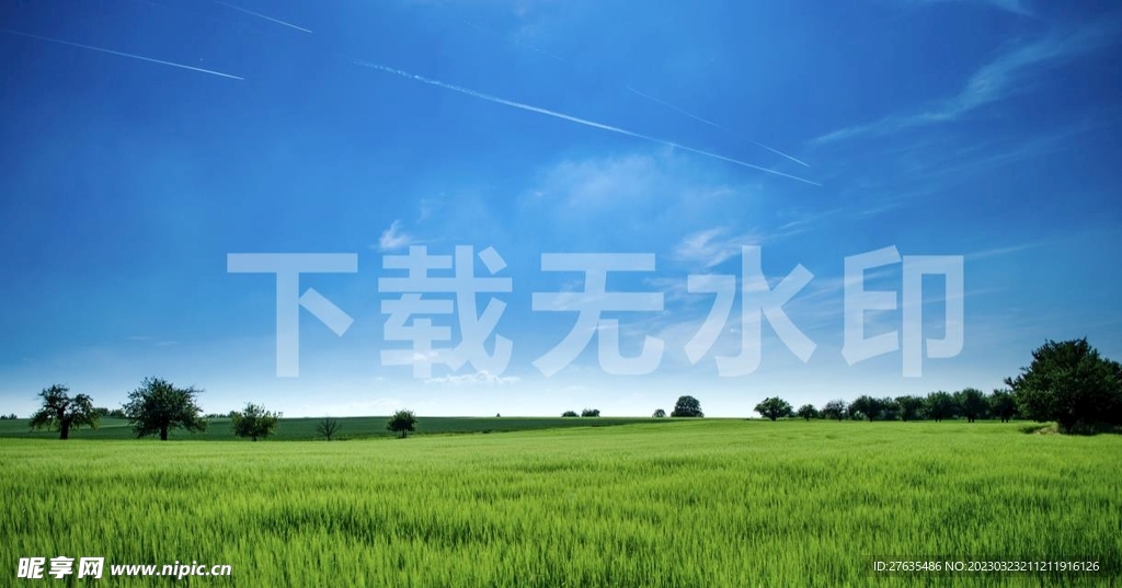 蓝天草地摄影